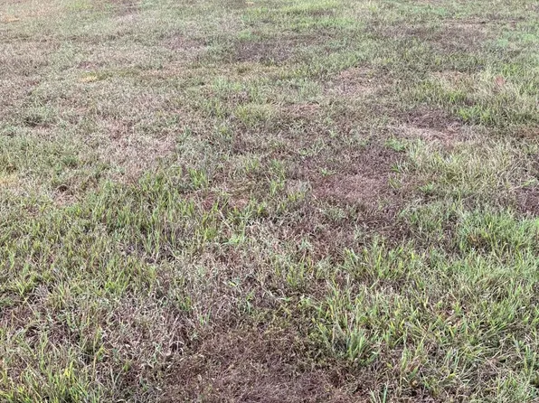 3604 Bailey Meadows Dr Lot 18, Wake Forest, NC 27587