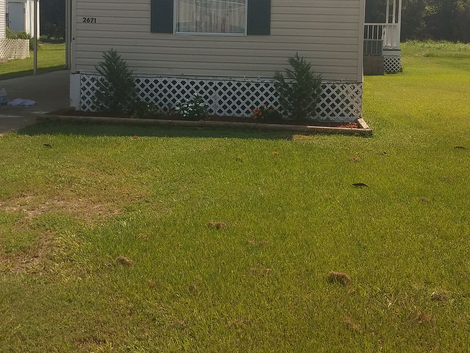 front view