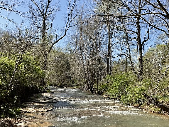 3rd image of 3712 Budds Creek Rd