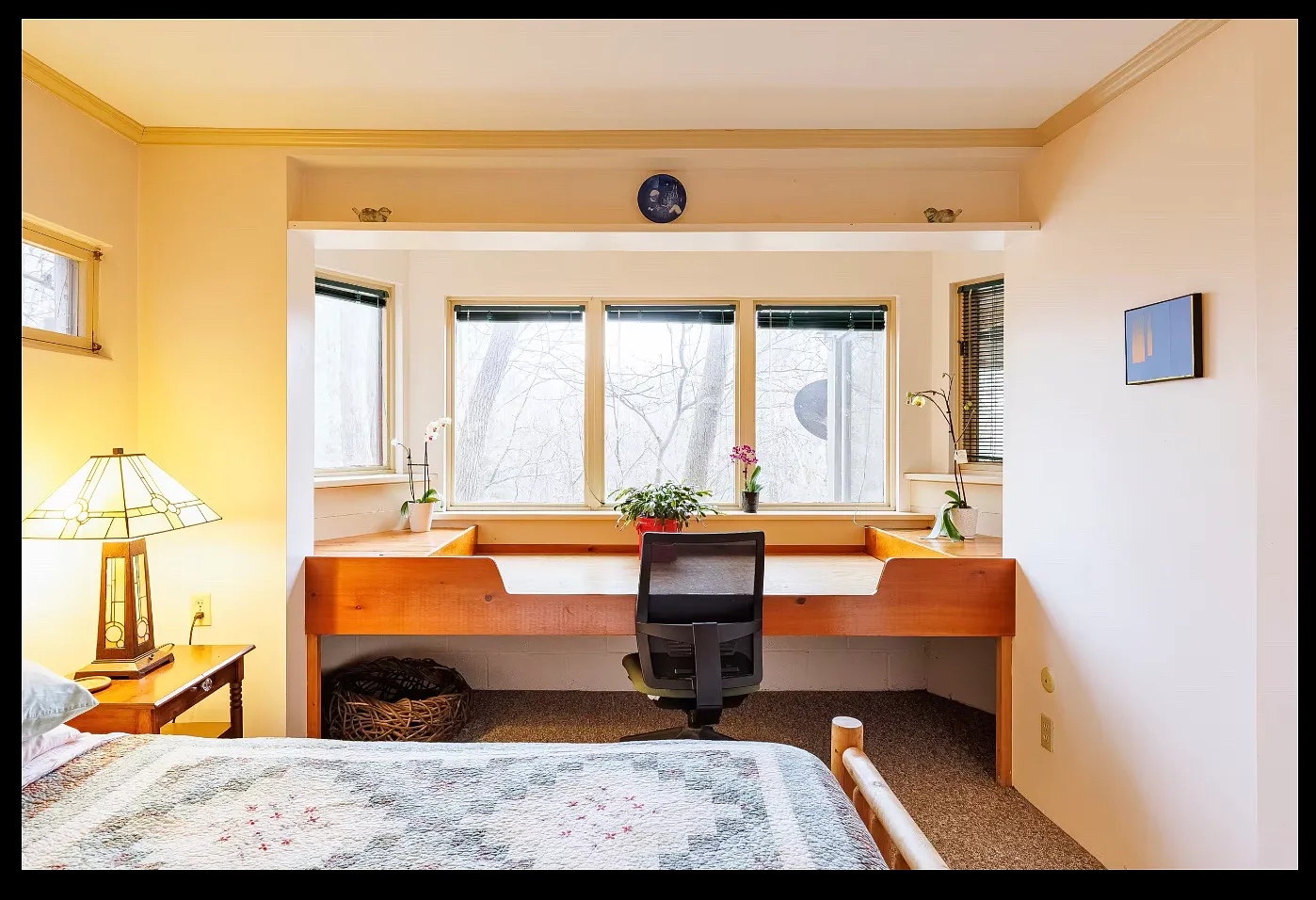 1 bed, 800 sqft, $1,600 — Photo 3
