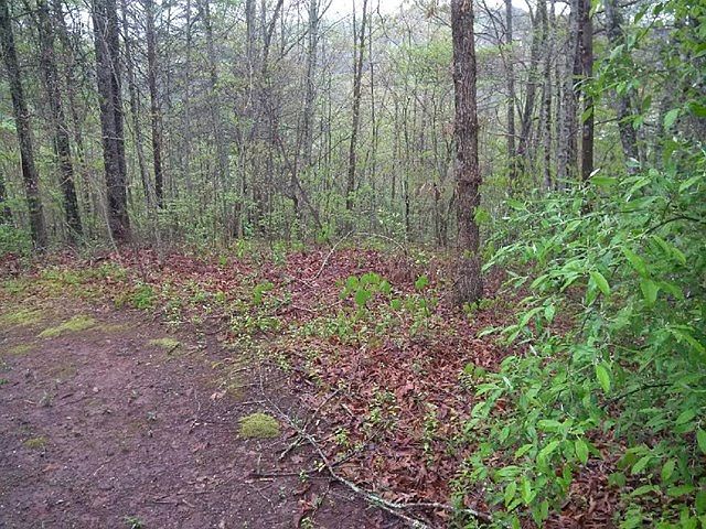 1st image of LOT 15 Otter Ridge Rd