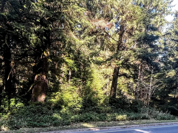 306 SW Wakonda Beach Rd, Waldport, OR 97394