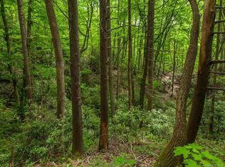 99999 Old Fort Rd, Fairview, NC 28730