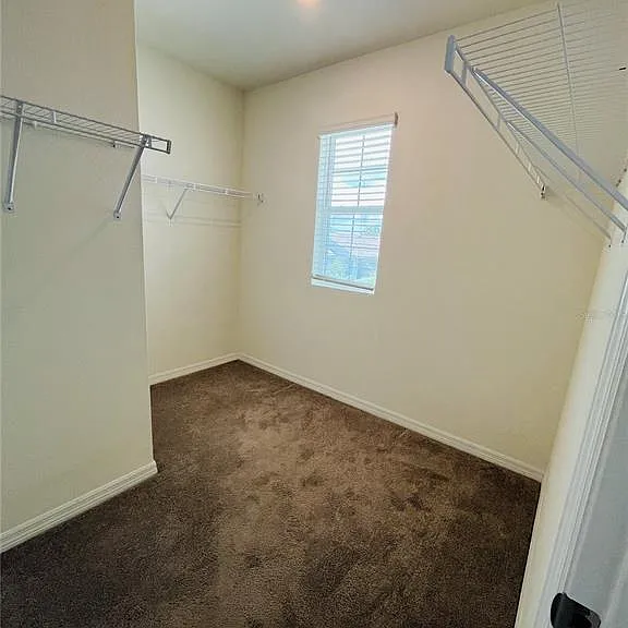 10624 Penny Gale Loop — Photo 10