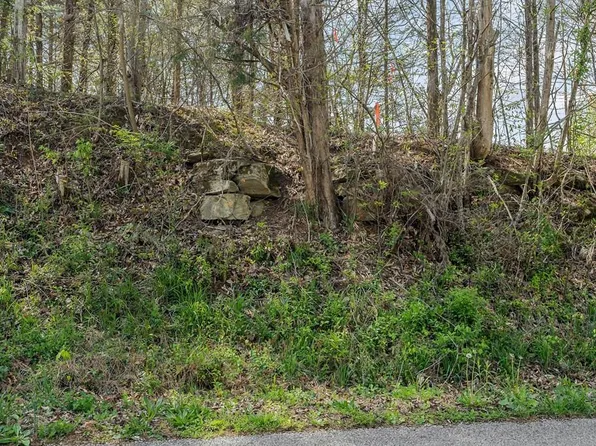 0 Big Springs Rd Tract 31, Monroe, TN 38573