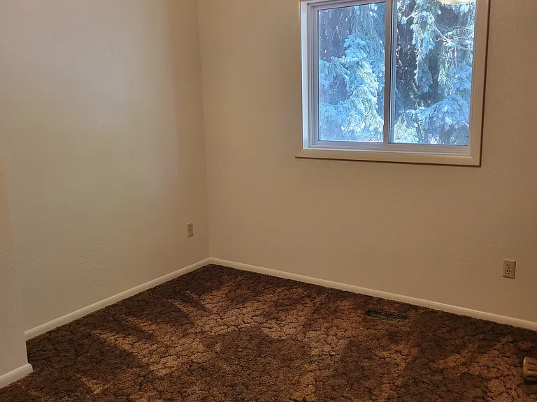 2425 Wildflower Dr — Photo 18
