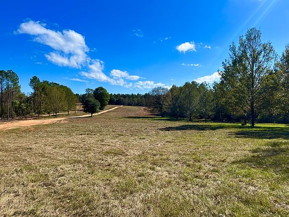 Dove / Agricultural Field in front of camp