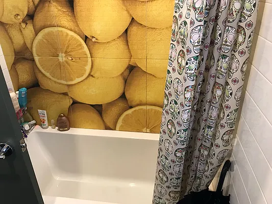 Rented by Premier Metro Realty Corp | media 59