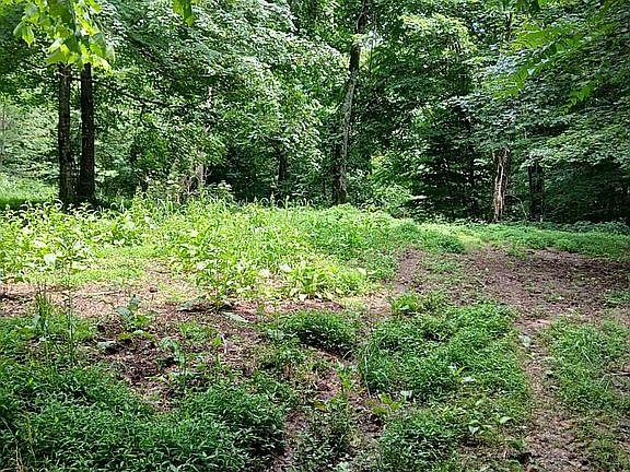 2nd image of 314 Old Sulphur Springs Rd