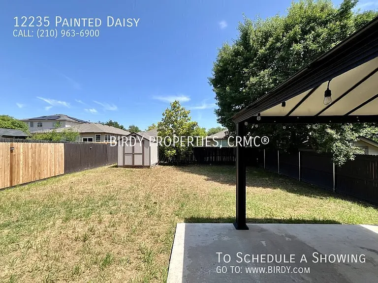 12235 Painted Daisy — Photo 38
