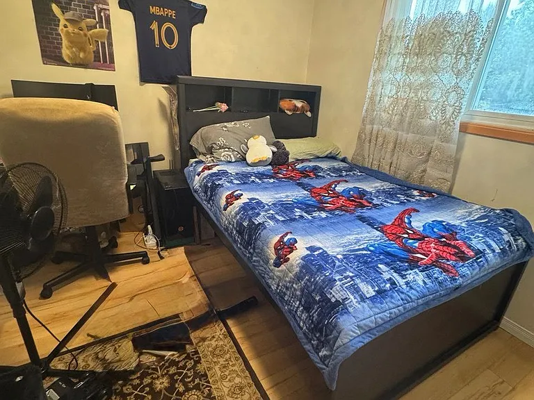 24 Valhalla Ct — Photo 11