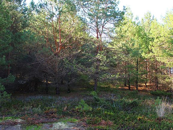 4th image of LOT 20 N Sunrise Dunes Cir