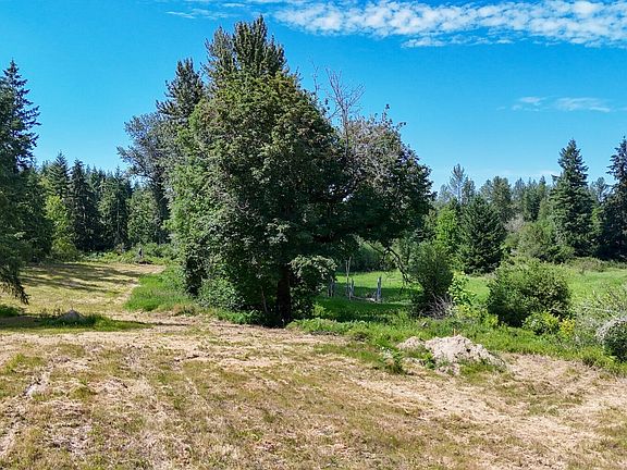 3rd image of 21842 Elbow Lake Road SE
