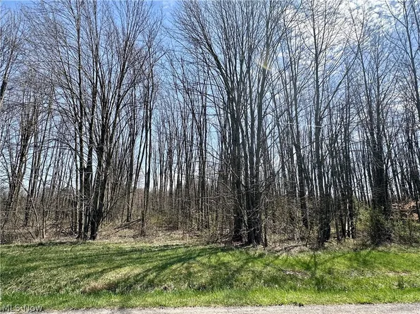 Durst Clagg Rd, Cortland, OH 44410