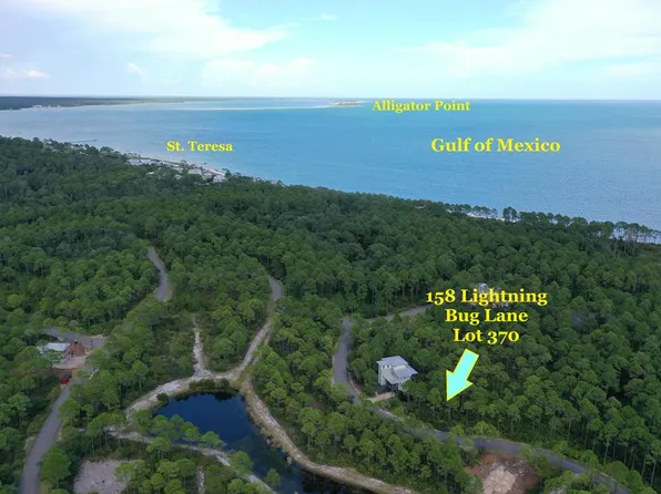 158 Lightning Bug Ln, St Teresa, FL 32358