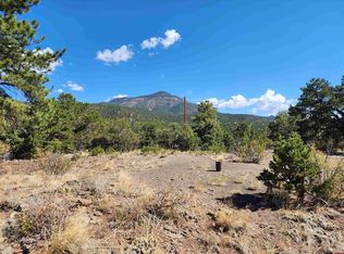 439 Hidden Valley Rd, South Fork, CO 81154