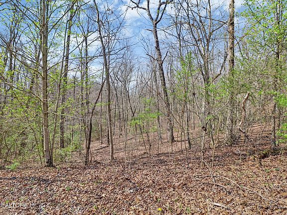 3rd image of 0 Thompson Rd Lot 153