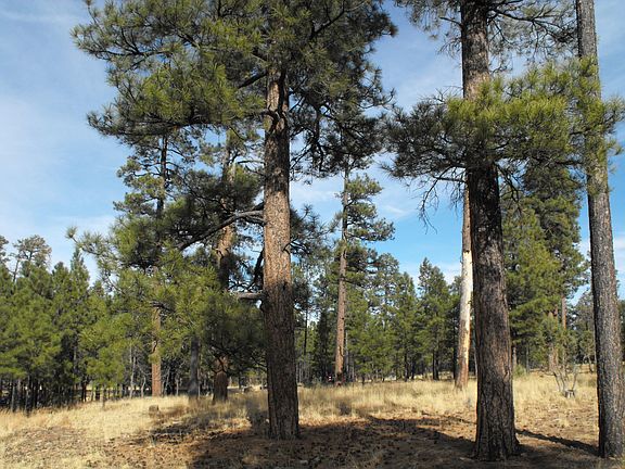 5th image of 2133 Pine Canyon Dr