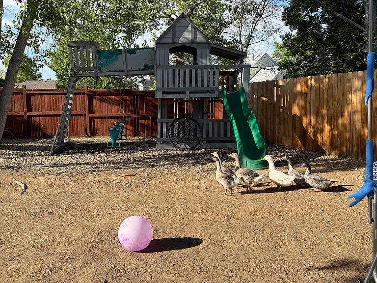 Aurora Way — Photo 35