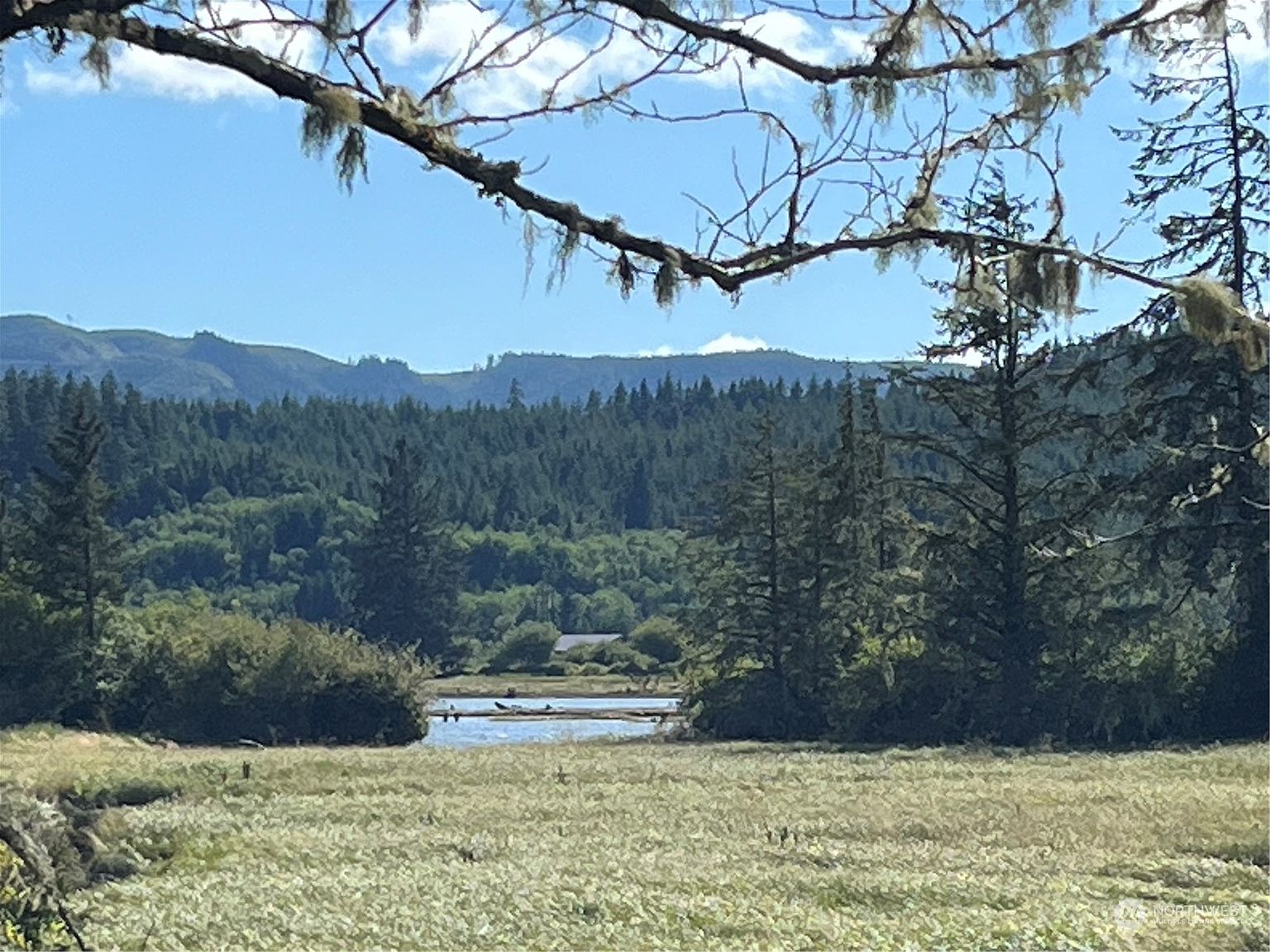 7 xx Holm Lane, Naselle, WA 98638 MLS 2132887 Zillow