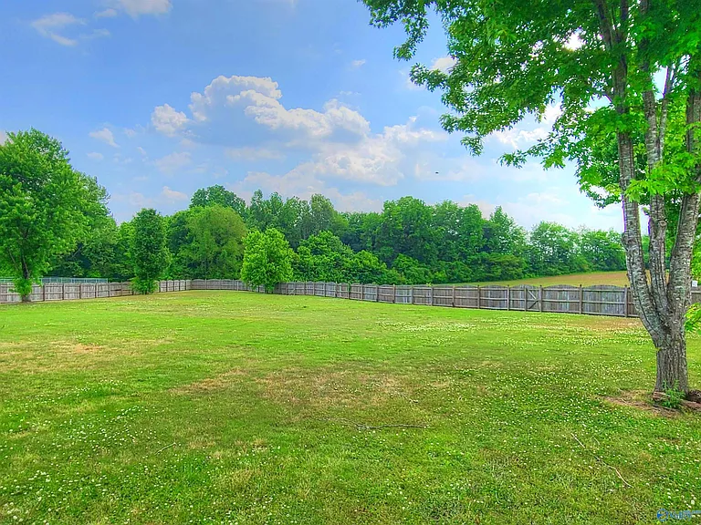 241 Misty Cove Ct — Photo 18