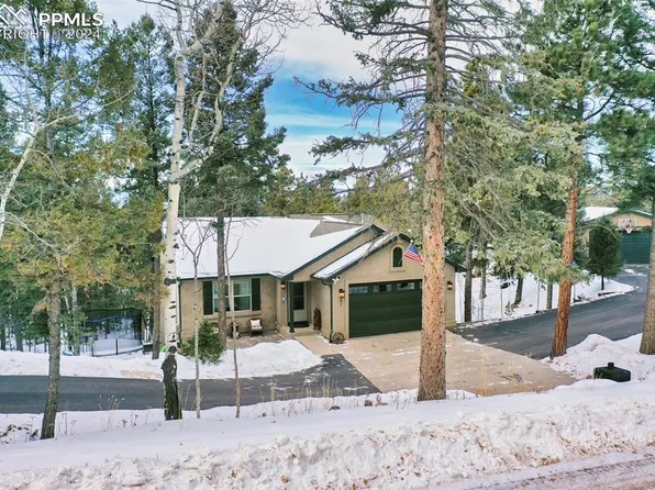 31 Wahsatch Rd, Florissant, CO 80816