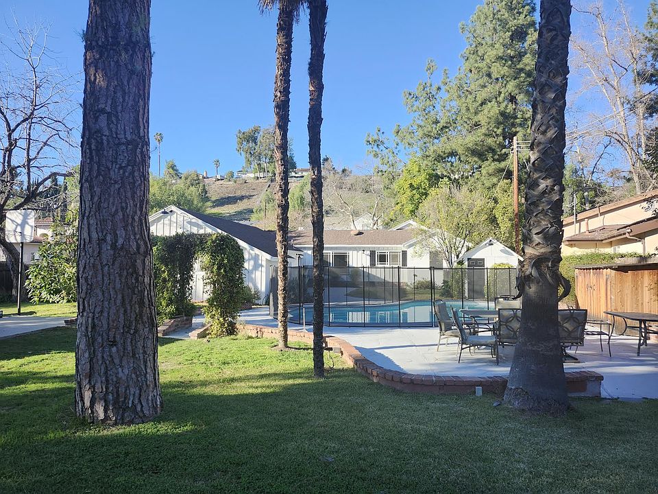 Part of Back Yard