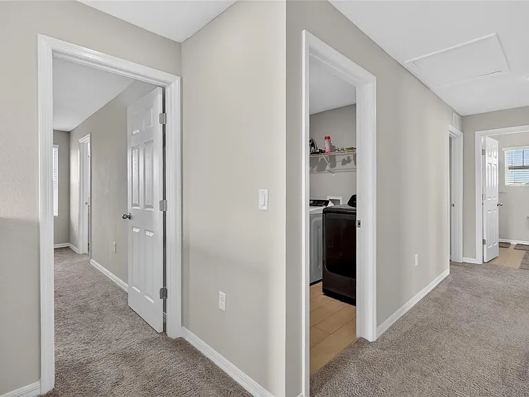 4167 Gerbera Daisy Ave — Photo 38