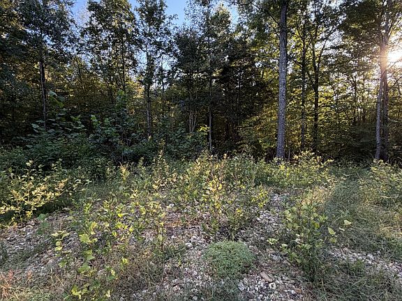2nd image of 559 Pleasant Hill Rd Lot 2