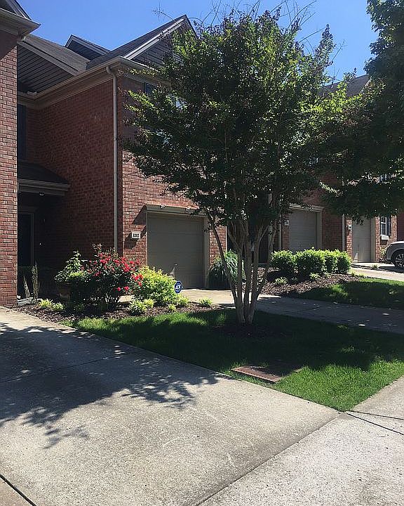 Beautiful Shade Tree