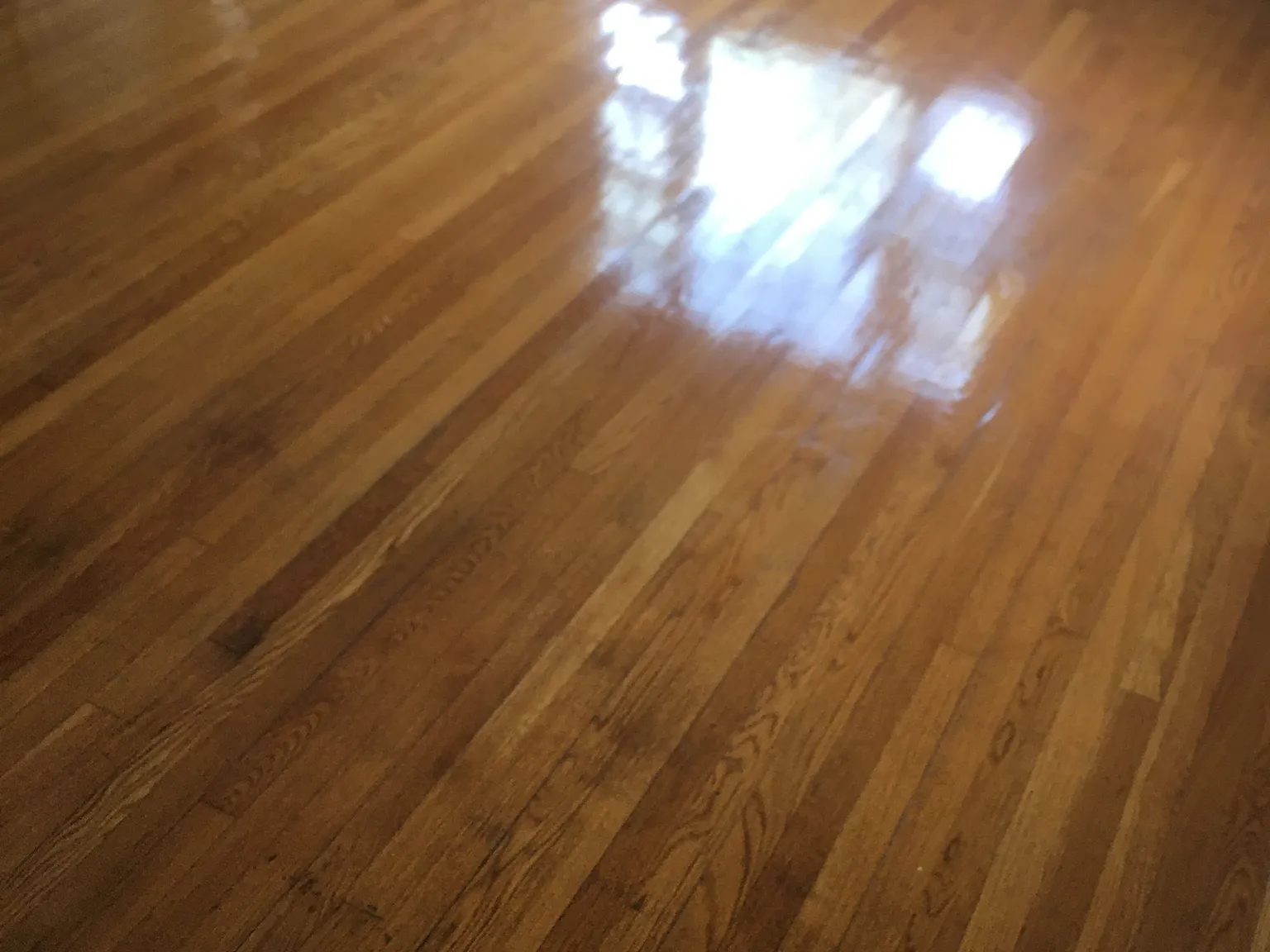 2 bed, 920 sqft, $1,800 — Photo 4