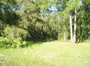 State Road 33 LOT 27, Polk City, FL 33868