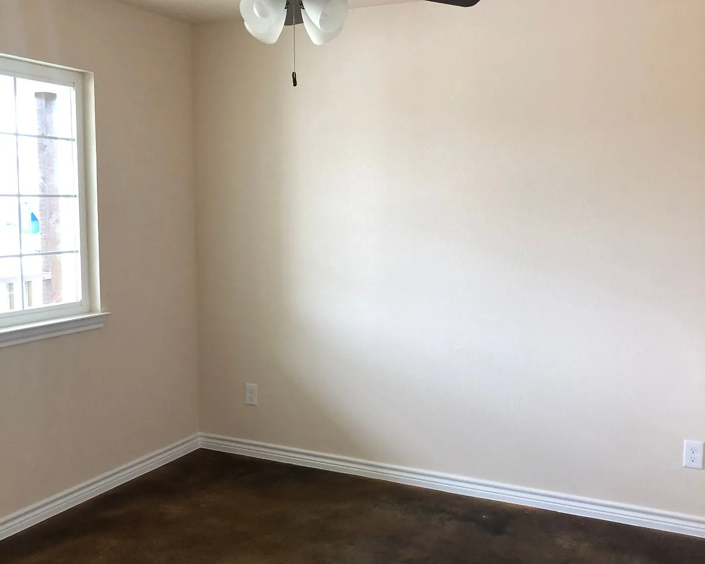 509 College St — Photo 3