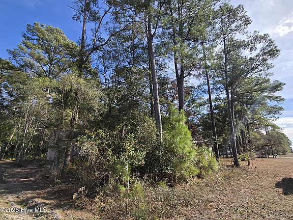 2nd image of 3676 Palm St SE Lot 74