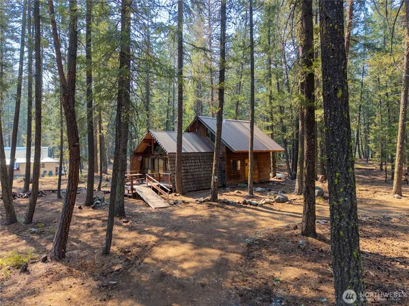11 Susan Road, Mazama, WA 98834