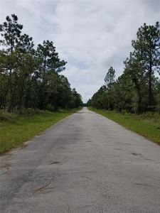 NW Smallwood Rd LOT 29, Dunnellon, FL, 34431