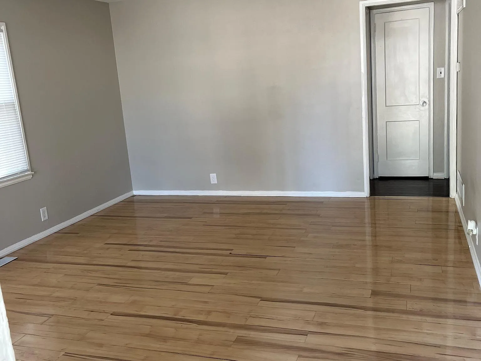 2 bed, 1000 sqft, $1,250 — Photo 3