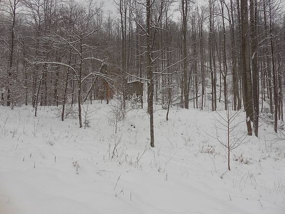 90th image of this home