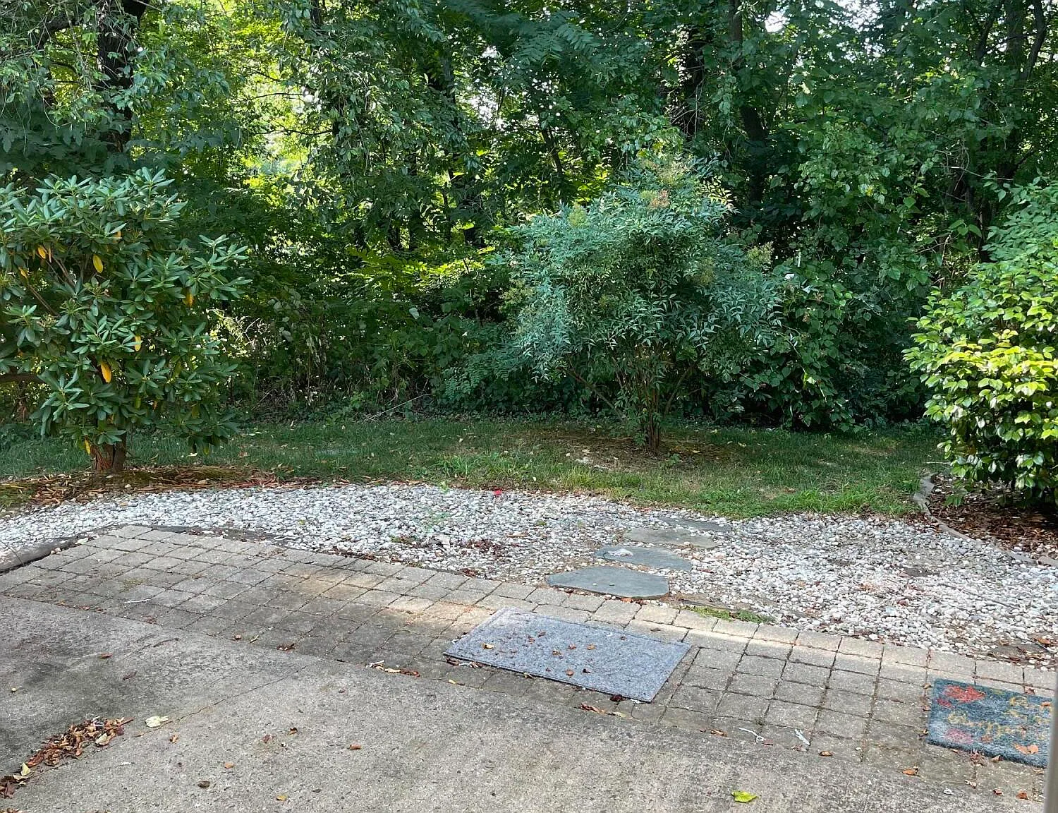 3 bed, 2.5 bath, 1564 sqft, $3,300 — Photo 3