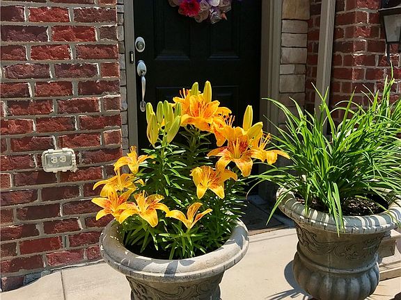 5th image of 573 Chesnic Dr
