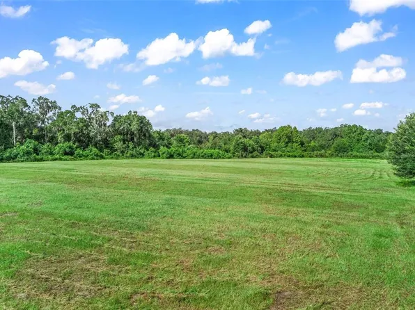 2239 SE 112TH AVENUE, WEBSTER, FL 33597