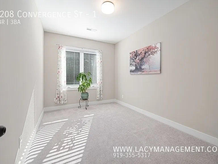 4208 Convergence St #1 — Photo 19
