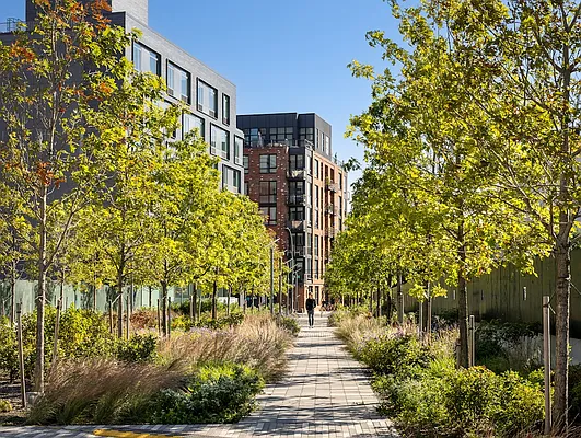 Rented by Halcyon Management Group LLC | media 5