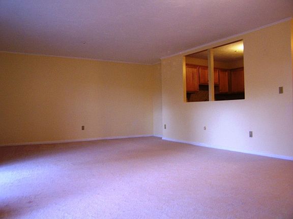 New Carpet