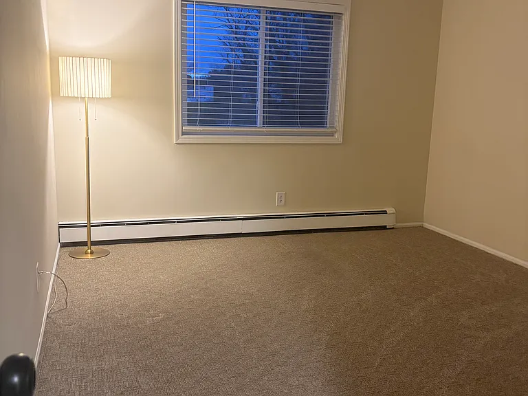 Master Bedroom Two bigger closets similar to front bedroom.