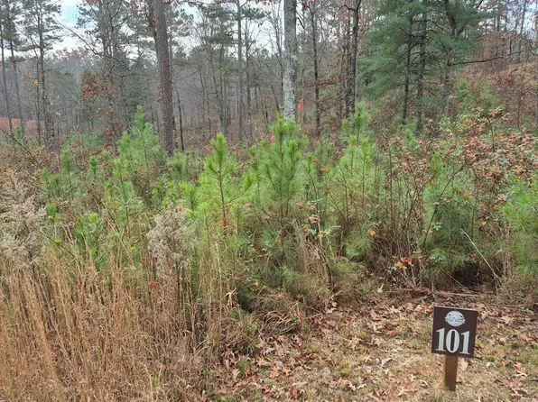 0 High River Xing, Ellijay, GA 30540