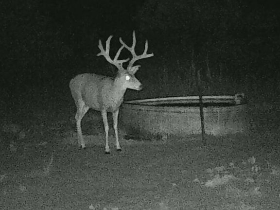 5th image of Road 706