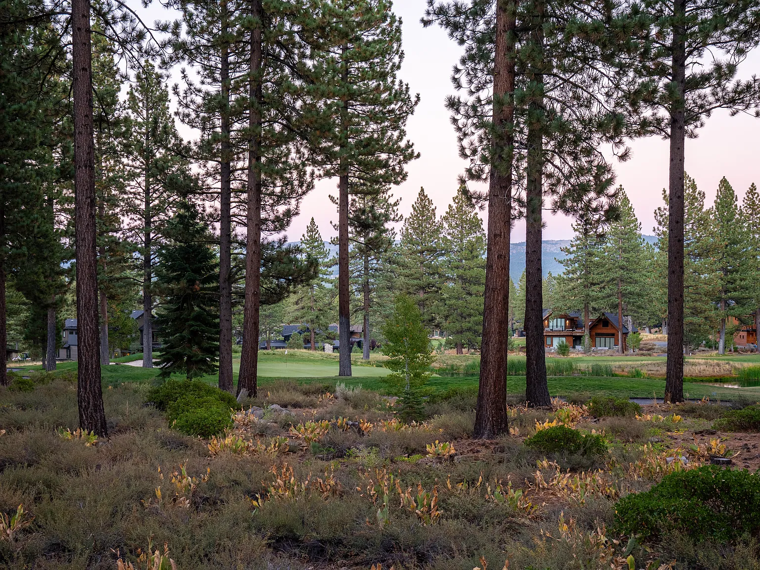 9265 Heartwood Dr — Photo 4