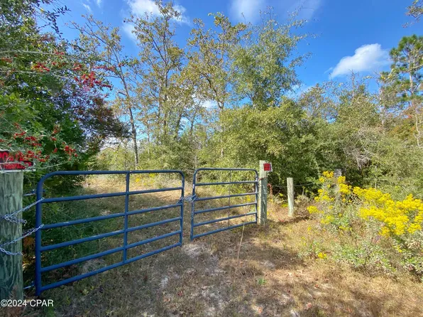 21332 NW Melvin New Grade Rd, Altha, FL 32421