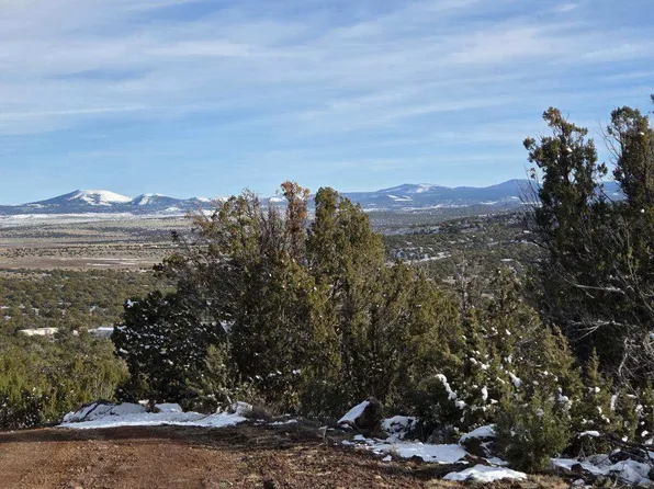 10 Co Rd, Vernon, AZ 85940